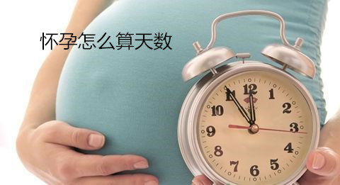 【孕妈必知】怀孕怎么算天数★4种方式简单算出怀孕天数..