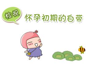 怀孕白带发黄怎么回事?4种方法调理孕期白带异常!