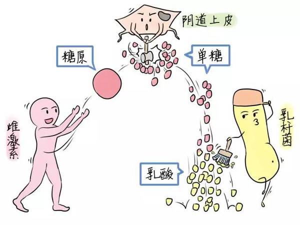 「女人那些事」阴道里有很多渣而且又疼又痒怎么回事?