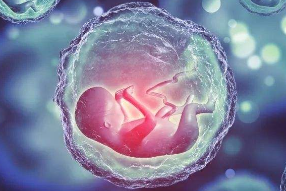淮安怀孕想流产多少钱?怀孕1个月怎么流产好?